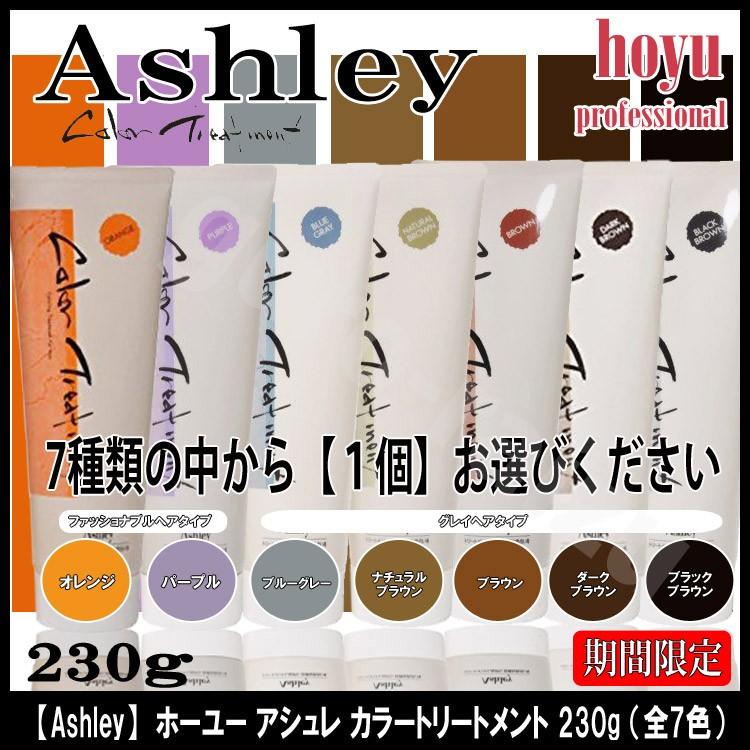 ホーユー hoyu アシュレーカラートリートメント 230gブラシ付き