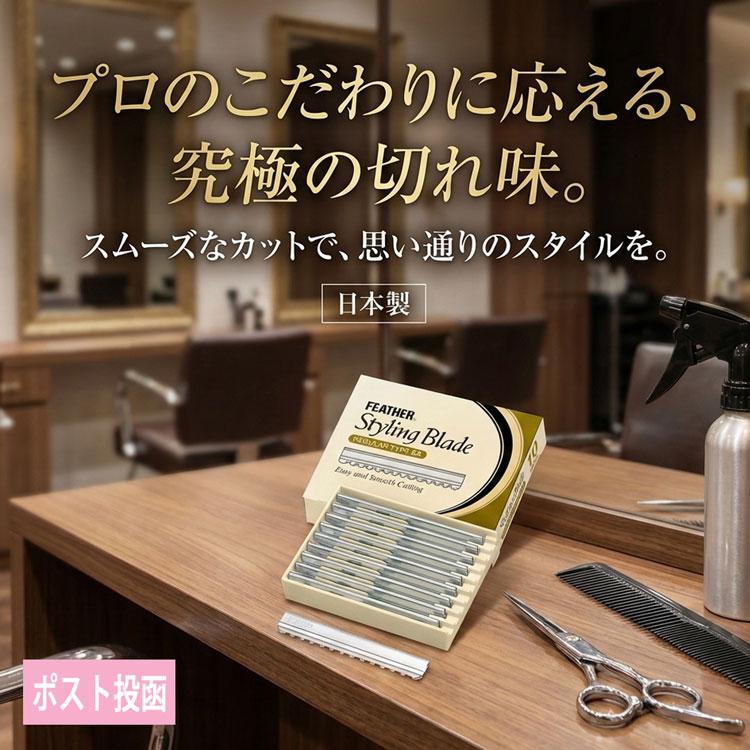 ポスト投函送料無料 替え刃 フェザースタイリングブレイドレギュラー