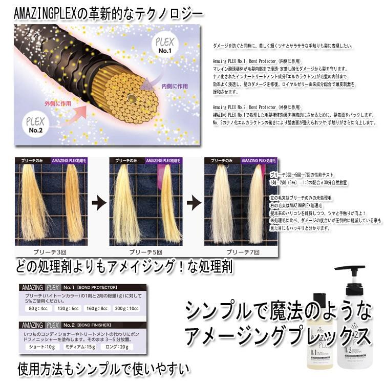 アメイジングプレックス AMAZING PLEX No2 ボンドフィニッシャー 480g