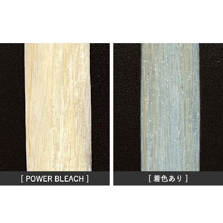 PROMASTER POWER BLEACH ブリーチ 500g プロマスターパワーブリーチ