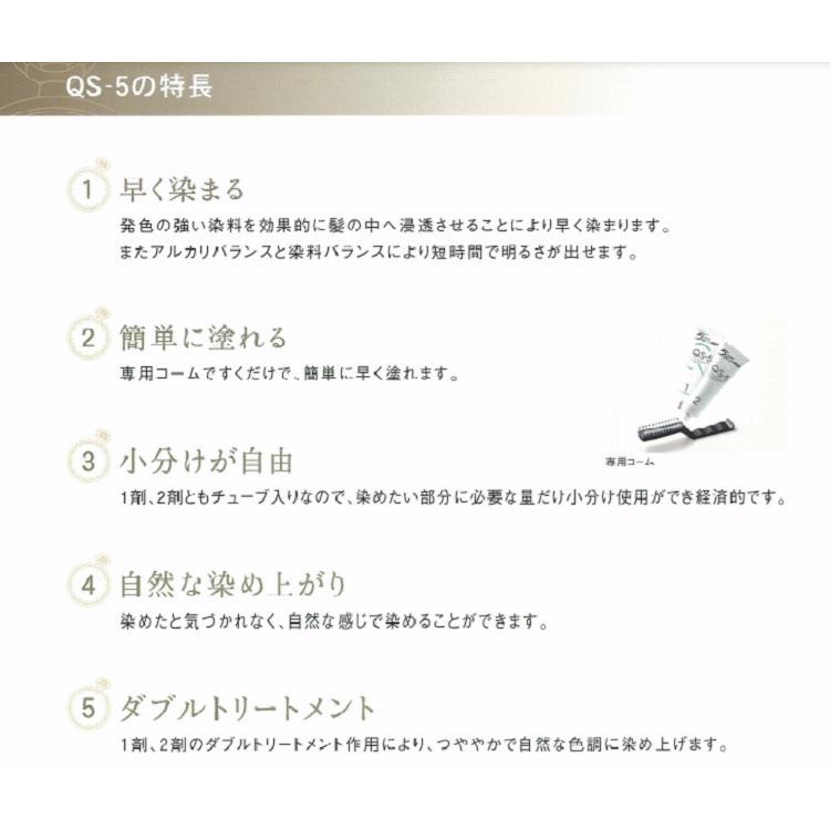 hoyu（ホーユー） 5分間放置スピード白毛染 アシュレーQS-5 Eパック