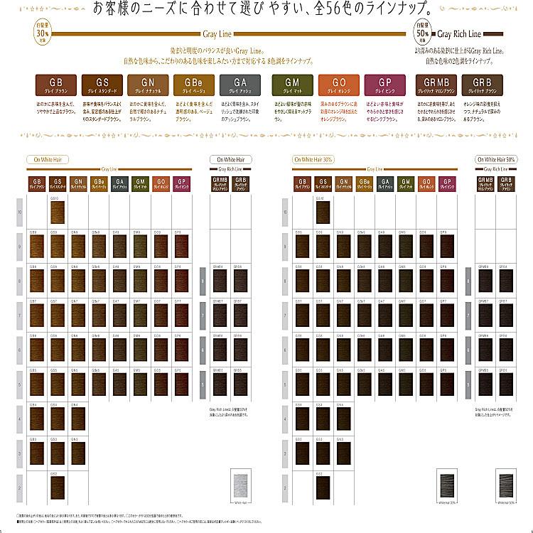 プロステップ グレイカラー 白髪染め GBE GO GM GB トリートメント