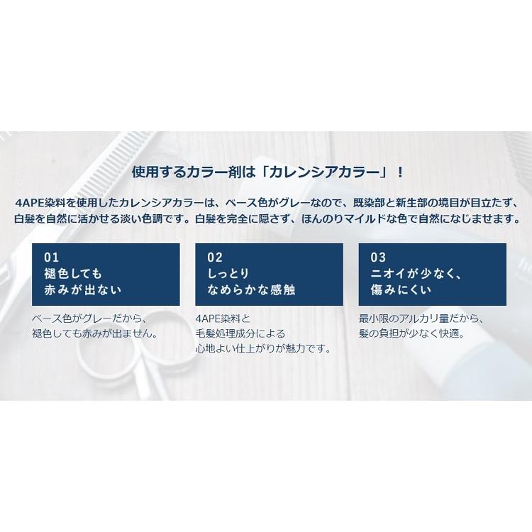 ホーユー プロフェッショナル カレンシアカラー 1剤 白髪ぼかし