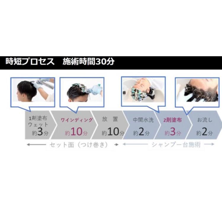ジオ パーマ TGa 第1剤 a チオグリコール酸コールド二浴式第1剤 パーマ