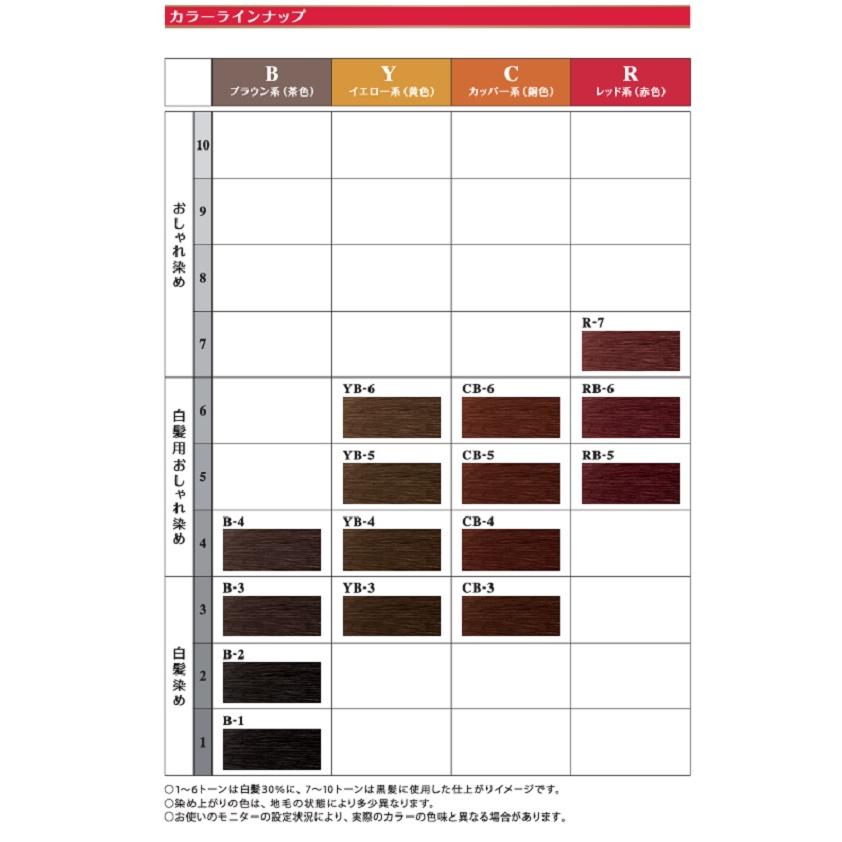 NiNE（ホーユー） ホーユー アクアトーン 40mL+80mL ヘアカラー