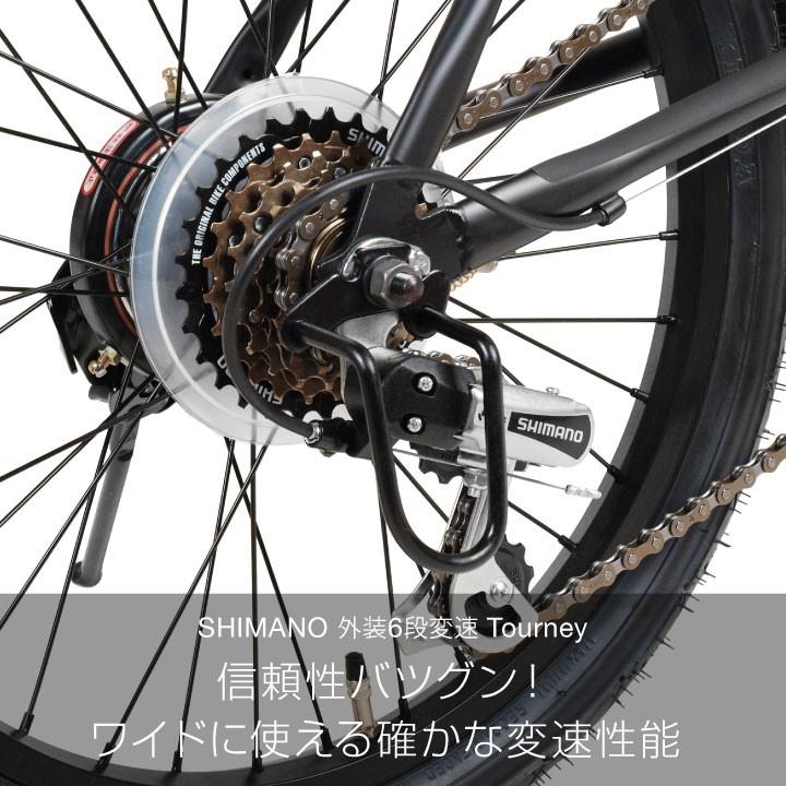 ビーチクルーザー 自転車 20インチ ミニベロ おしゃれ 男 女 お客様組立 アウトレット a.n.design works Caringbah Beetle ビートルの画像