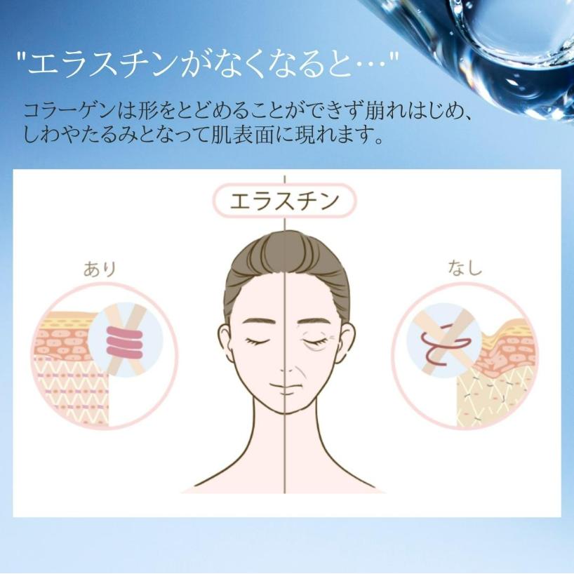 季令 エラスチンカプセル エラスチン サプリ KIREI サプリメント 季令 エラスチンカプセル エラスチン サプリ KIREI サプリメント