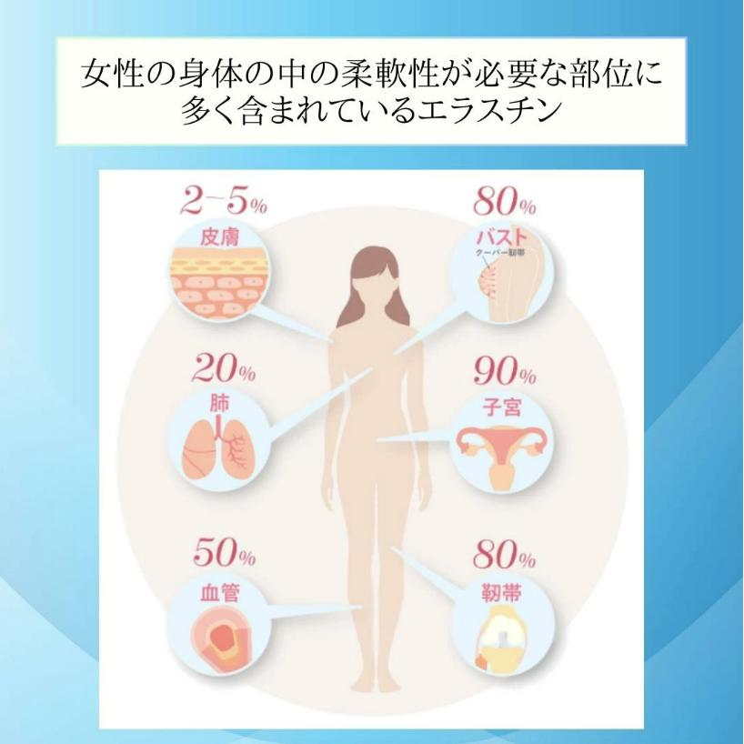 季令 エラスチンカプセル エラスチン サプリ KIREI サプリメント 季令 エラスチンカプセル エラスチン サプリ KIREI サプリメント