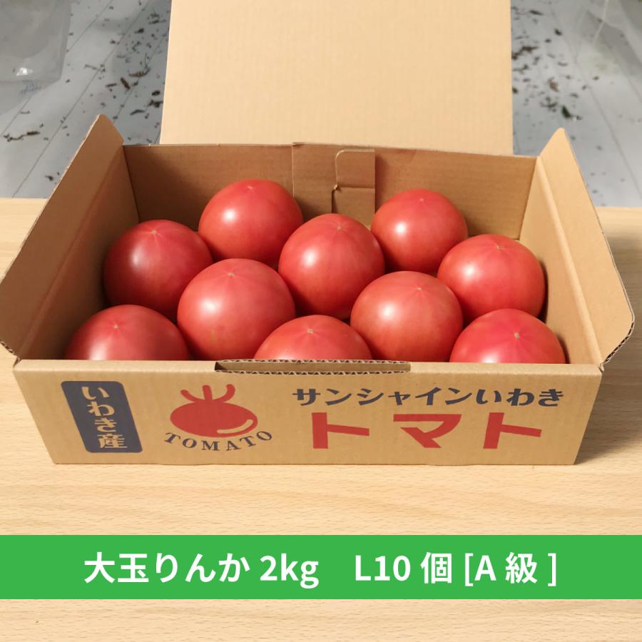 大玉トマト りんか [2kg] A品　サラダ　トマトソース　スープ　贈答　お中元　お歳暮