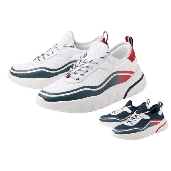 TOMMY HILFIGER トミーヒルフィガー FERIZI 値下げしました : NEXT 