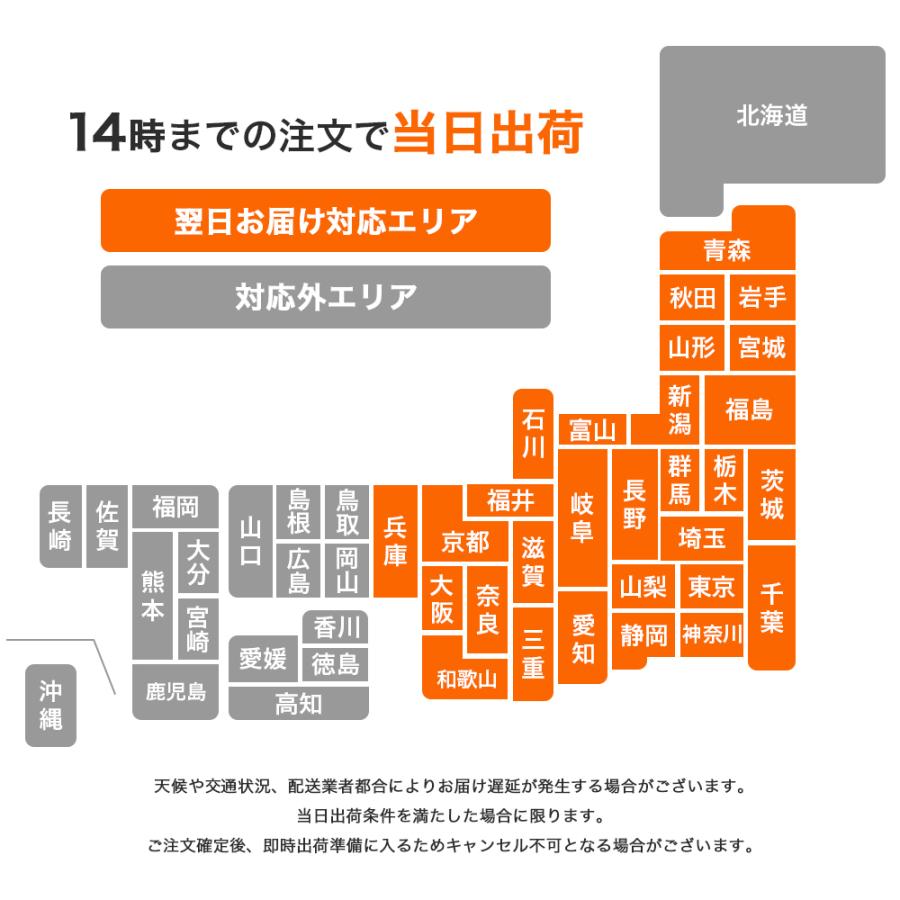 ホワイトニング 歯磨き粉 モンドセレクション金賞受賞  歯を白くする 口臭 虫歯予防 150g大容量 医薬部外品 OraLuLu(オーラルル) |  | 12