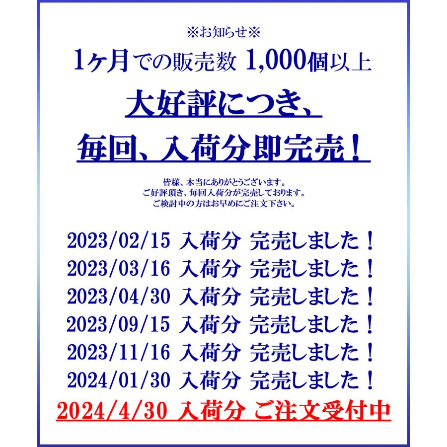 本革 IDカードホルダー カードケース 伸縮リール付き 両面 透明窓 ネームホルダー 社員証 横型 パスケース ネックストラップ BALLOT｜nextfreedom｜03