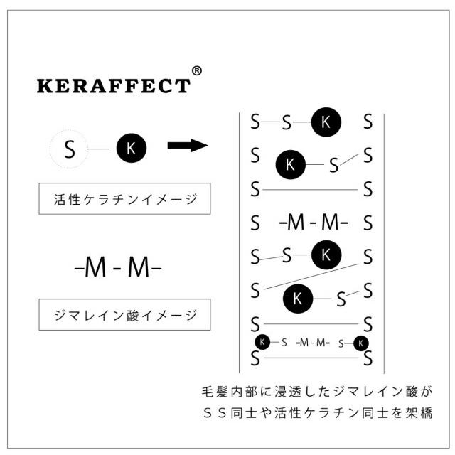 ケラフェクトコネクター 500ml ベースウォーター 1000ml 【セット商品