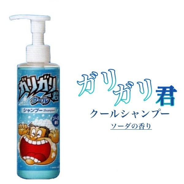 ガリガリ君 クールシャンプー 200ml×2本セット (ひんやり 夏 クール