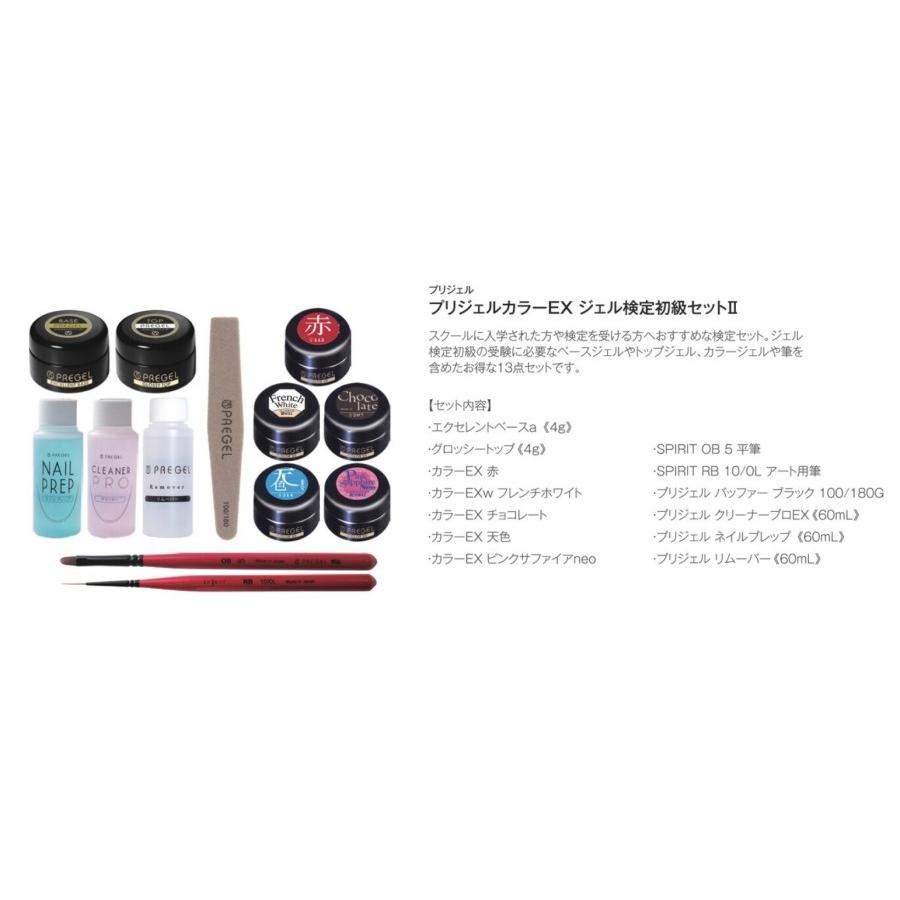 プリジェル カラーEX ジェル検定初級セット3 PREGEL (PREGEL JNA JNA