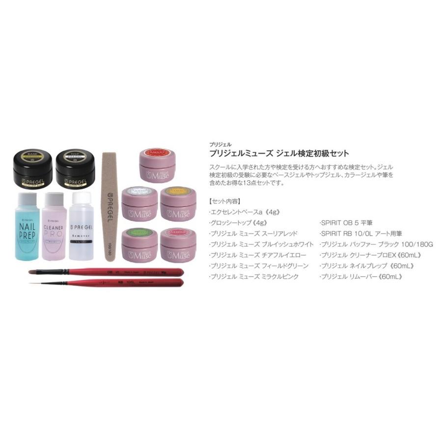 プリジェル ミューズ ジェル検定初級セット PREGEL (PREGEL JNA