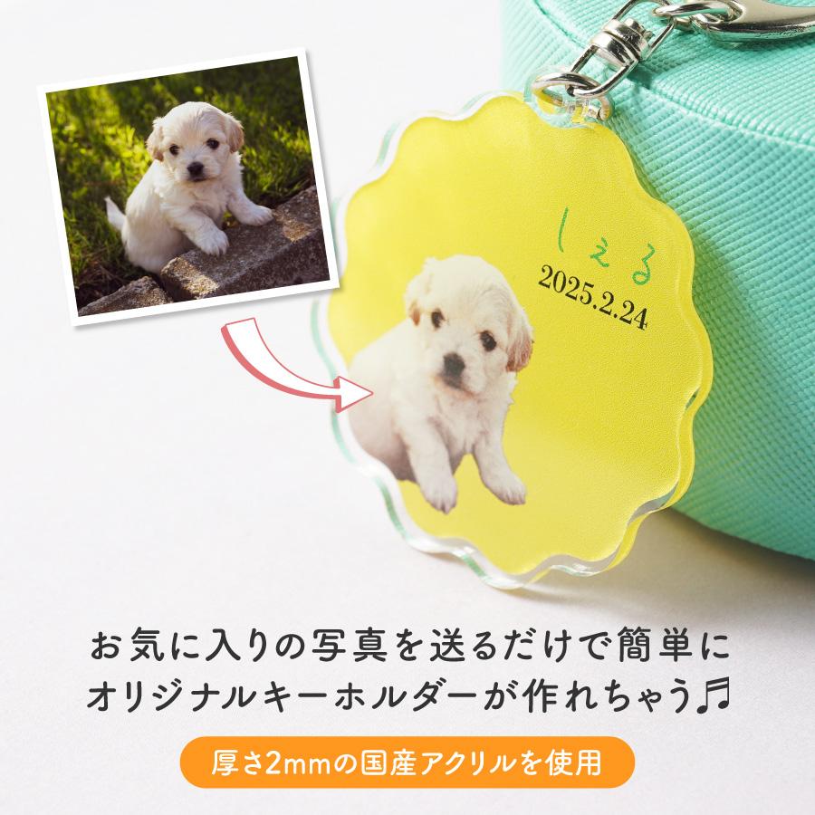 制作前にデータ確認できる 写真入り ポップフレーム キーホルダー 子供 ペット 写真入れ 敬老の日 出産祝い 名入れ こども 孫 名前 アクリル 写真入りプレゼント |  | 01