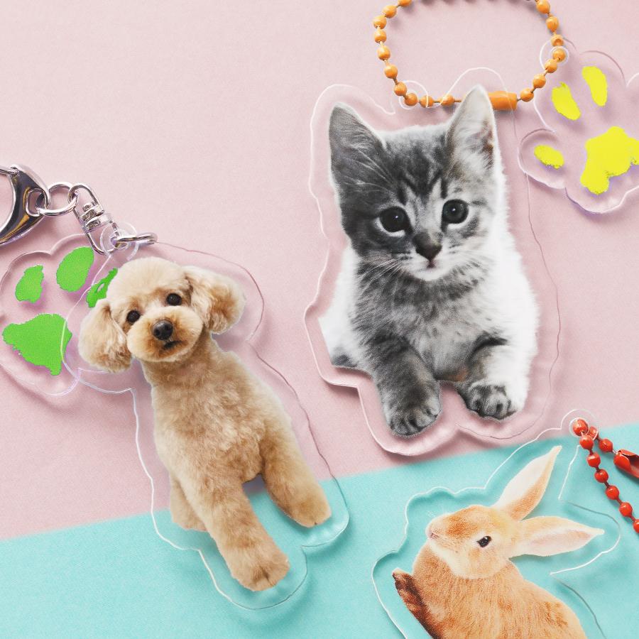 肉球 うちのこ キーホルダー ペット 写真入れ お名前 両面 子犬 小型犬 大型犬 犬 いぬ 愛犬 お散歩 ドッグラン ワンポイント 赤ちゃん グッズ  犬 猫 | 