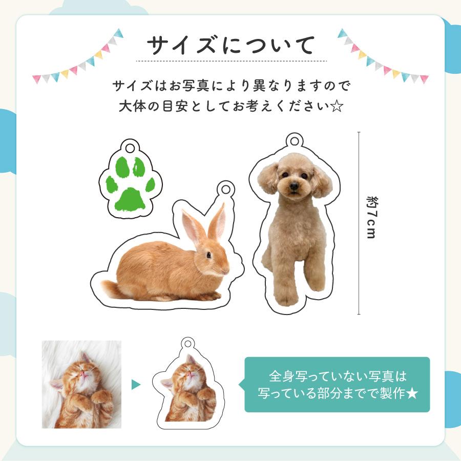 肉球 うちのこ キーホルダー ペット 写真入れ お名前 両面 子犬 小型犬 大型犬 犬 いぬ 愛犬 お散歩 ドッグラン ワンポイント 赤ちゃん グッズ  犬 猫 |  | 10