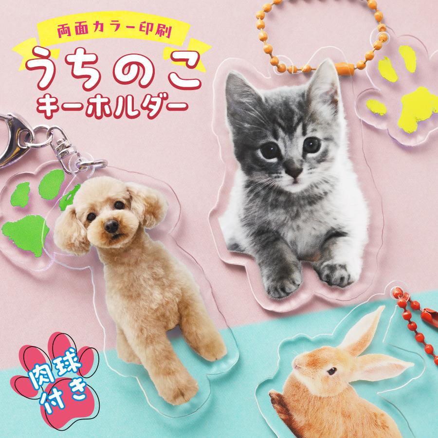 肉球 うちのこ キーホルダー ペット 写真入れ お名前 両面 子犬 小型犬 大型犬 犬 いぬ 愛犬 お散歩 ドッグラン ワンポイント 赤ちゃん グッズ  犬 猫 |  | 01
