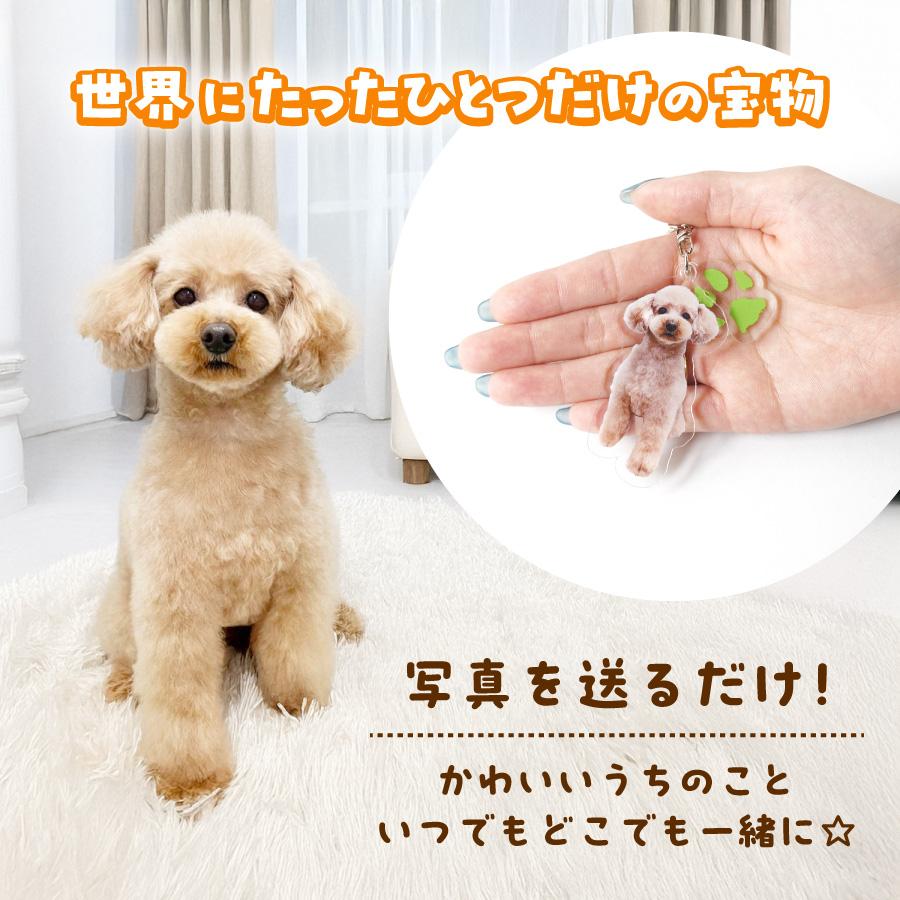 肉球 うちのこ キーホルダー ペット 写真入れ お名前 両面 子犬 小型犬 大型犬 犬 いぬ 愛犬 お散歩 ドッグラン ワンポイント 赤ちゃん グッズ  犬 猫 |  | 02