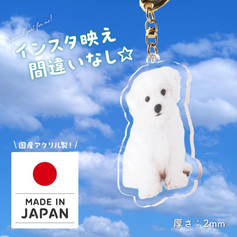 肉球 うちのこ キーホルダー ペット 写真入れ お名前 両面 子犬 小型犬 大型犬 犬 いぬ 愛犬 お散歩 ドッグラン ワンポイント 赤ちゃん グッズ  犬 猫 |  | 04