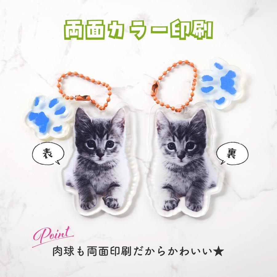 肉球 うちのこ キーホルダー ペット 写真入れ お名前 両面 子犬 小型犬 大型犬 犬 いぬ 愛犬 お散歩 ドッグラン ワンポイント 赤ちゃん グッズ  犬 猫 |  | 05