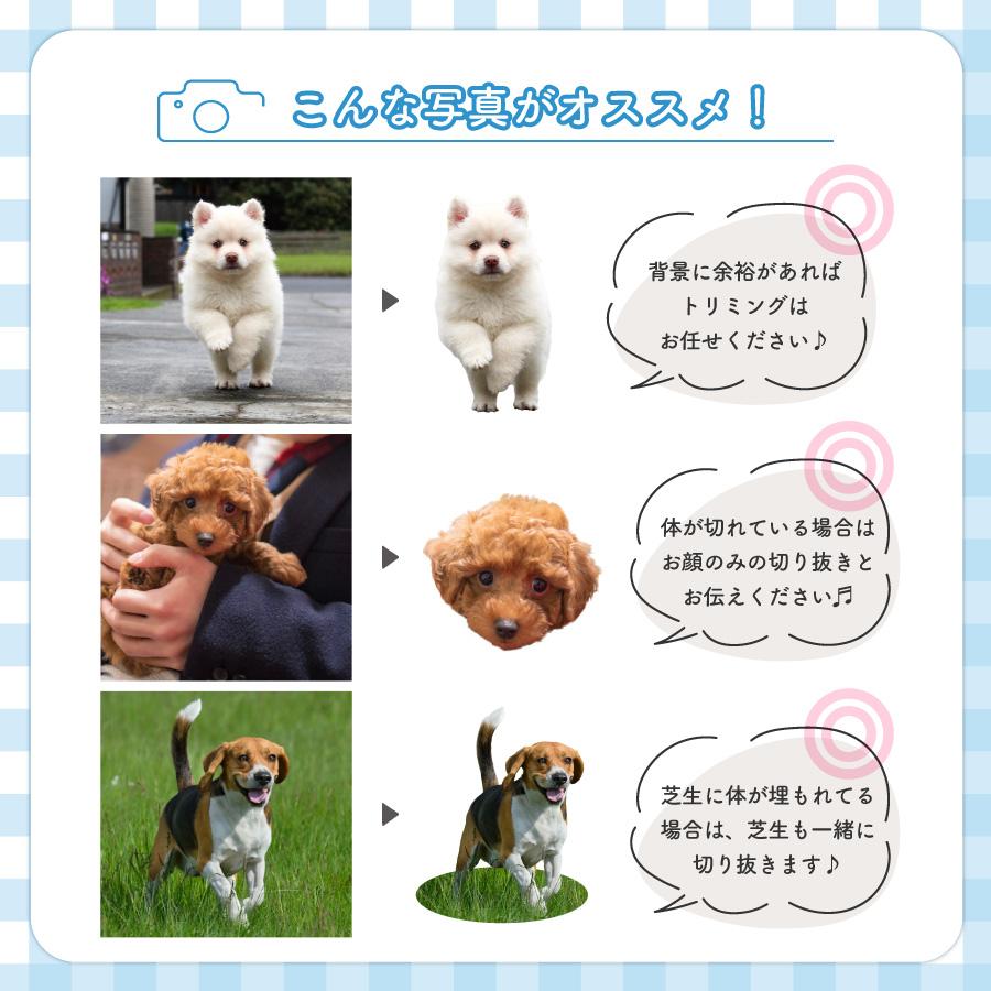 肉球 うちのこ キーホルダー ペット 写真入れ お名前 両面 子犬 小型犬 大型犬 犬 いぬ 愛犬 お散歩 ドッグラン ワンポイント 赤ちゃん グッズ  犬 猫 |  | 08