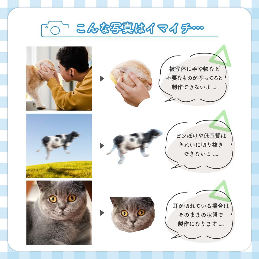 肉球 うちのこ キーホルダー ペット 写真入れ お名前 両面 子犬 小型犬 大型犬 犬 いぬ 愛犬 お散歩 ドッグラン ワンポイント 赤ちゃん グッズ  犬 猫 |  | 09