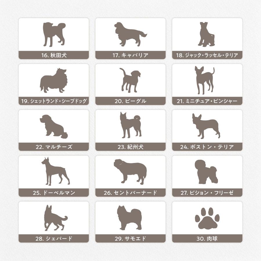 ペット 名入れ コンパクトミラー ミラー ダブルミラー 犬 猫 愛犬 愛猫 拡大鏡 ハンドミラー 名入無料 コスメ 鏡 コンパクト 手鏡 化粧鏡 折りたたみ 誕生日 |  | 05