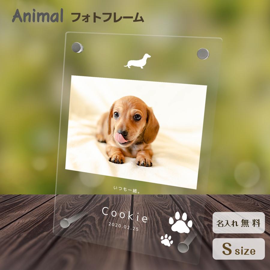 【名入れ無料】 ペット フォトフレーム 写真立て アクリル 名入れ 名前入り フォト スタンド 卓上 透明 クリア 縁なし スクエア 縦長 写真入り 犬 猫 小さい｜nextore