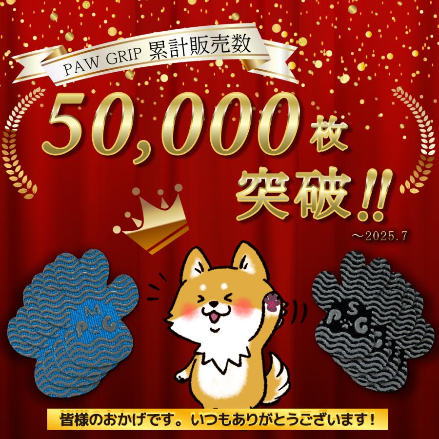 【★累計販売枚数5万枚突破!!ランキング1位獲得★】犬 滑り止め シール 5セット20枚入り フローリング すべり止め シール いぬ用 | ブランド登録なし | 06