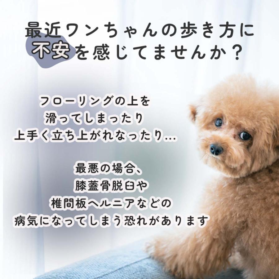 【★累計販売枚数5万枚突破!!ランキング1位獲得★】犬 滑り止め シール 10セット40枚入り ランキング1位獲得 フローリング すべり止め シール いぬ用 |  | 09