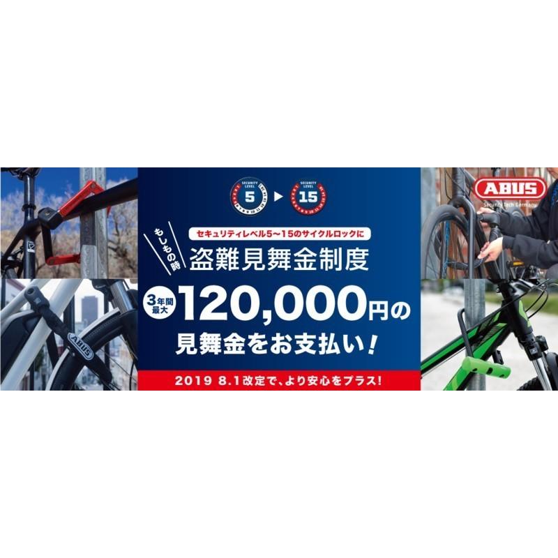 ABUS ABUS(アブス) 8807K/110 カギ式チェーンロック : THE CYCLE