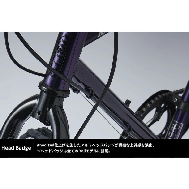 tern ターン　amp F1 ！　大阪市内引き取り限定！！！！ ターン」AMP F1（アンプ F1 限定カラー）20インチ フレームサイズ:460