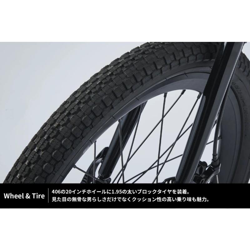 tern(ターン) AMP F1 