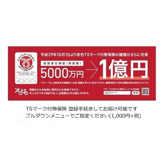 【営業所引き取り、事業所お届けで送料割引】BRUNO(ブルーノ) MIXTE "ミキスト" SILVER EDITION 2025モデル(2025FW) |  | 07