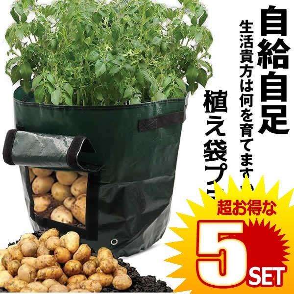 植え袋 プランター フェルト 45x35cm 丸い布鉢 不織布植木鉢 栽培バッグ 栽培 バッグ ガーデン栽培袋 園芸ガーデン Terajaga の 5個セット Khabarsanjal Com