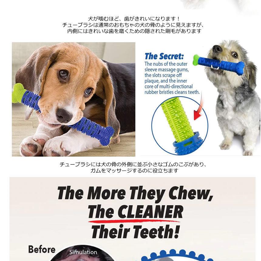 犬 噛むおもちゃ 犬 歯フ ラシ 中 大型 犬 玩具 口腔 掃除 ケア ペット クリーニング Toytooth M Kh1013 50a Next Stage 通販 Yahoo ショッピング