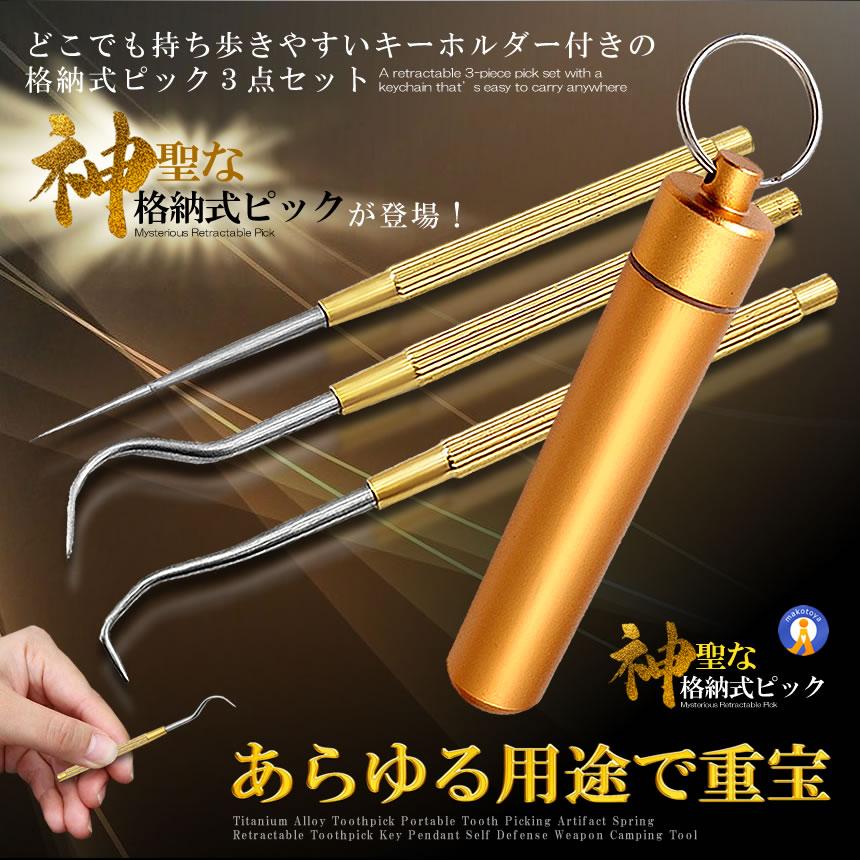 格納式 ピック セット ステンレス 爪楊枝 ケース 3種類 つまようじ