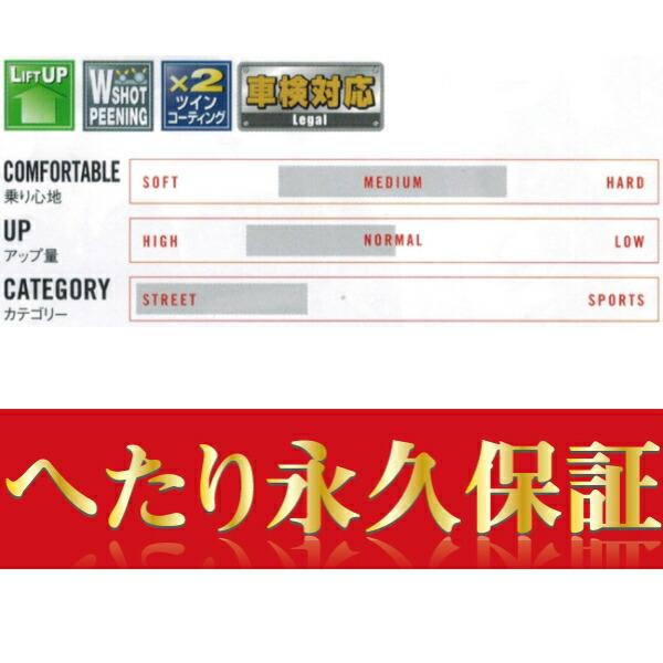 TANABE（タナベ） TANABE UP210アップサス前後セット CV5WデリカD:5 M