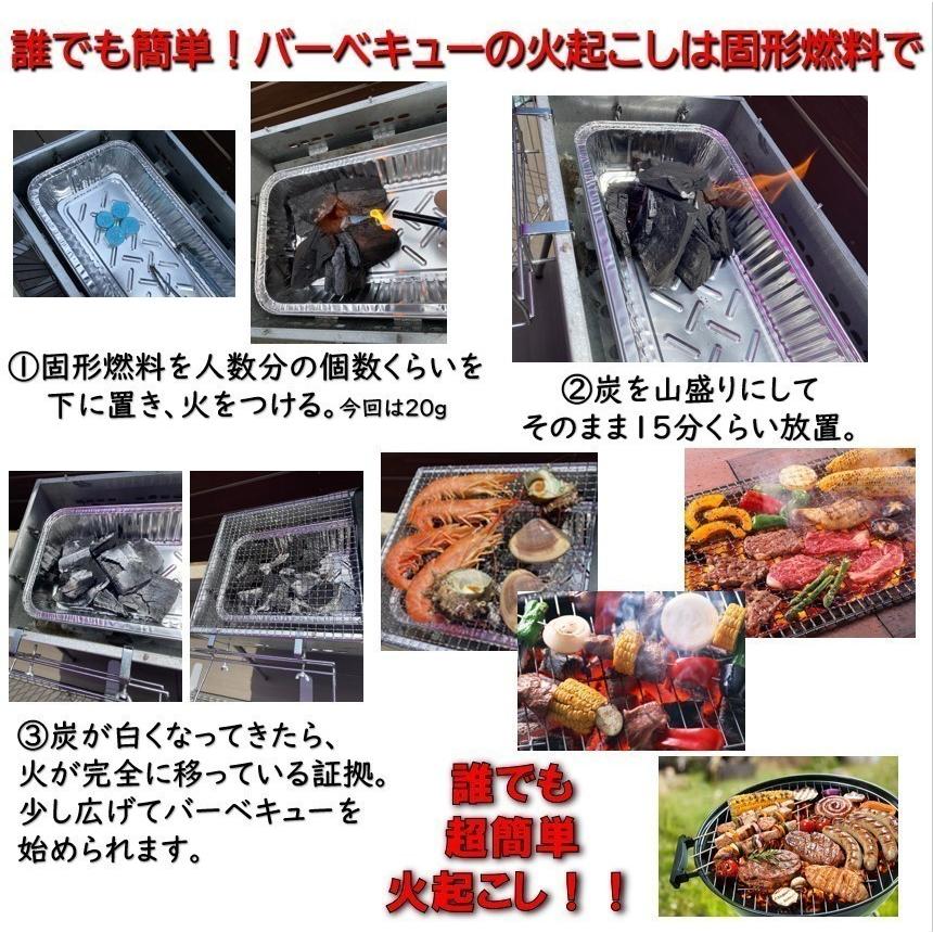ニイタカ 固形燃料 25g 4個セット×20個パック カエン ニューエースE