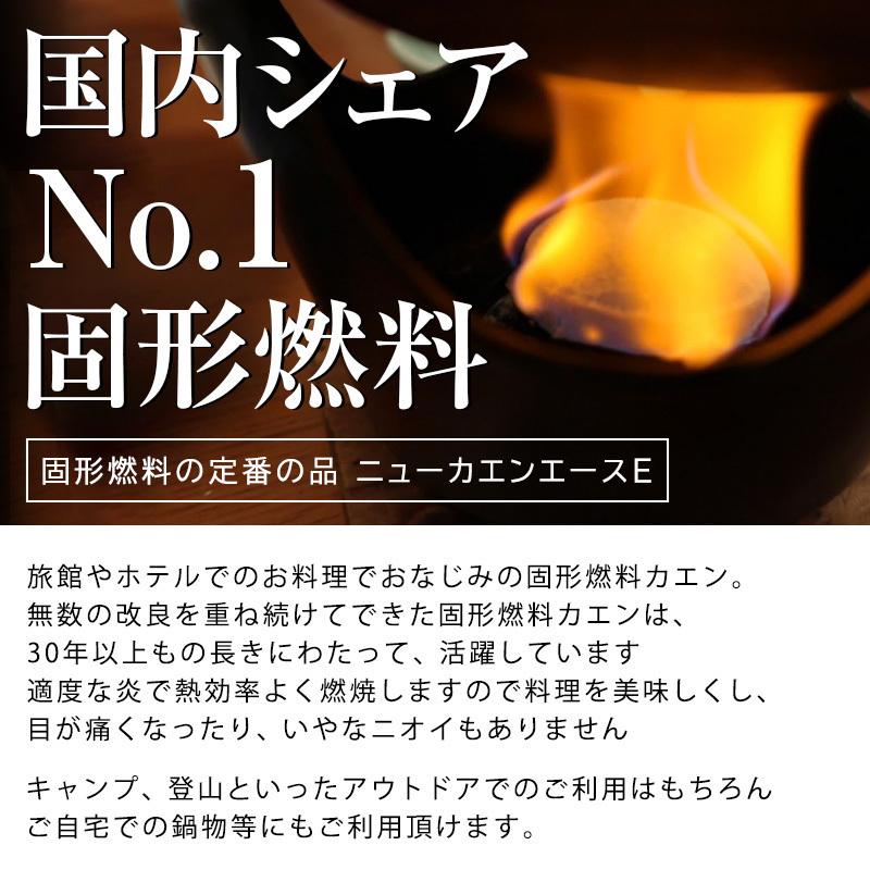 固形燃料 15g コンロ ニイタカ カエン ニューエースE メスティン 着火剤 20個パック 着火材 セット アウトドア キャンプ 登山 z 固形15 アロマキャンドル oh10｜nextstagestore｜02