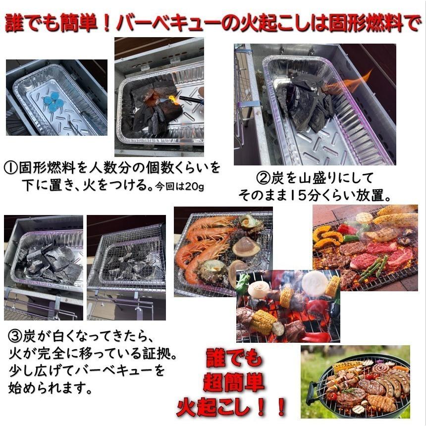 ニイタカ 固形燃料 20g コンロ カエン ニューエースE メスティン 着火