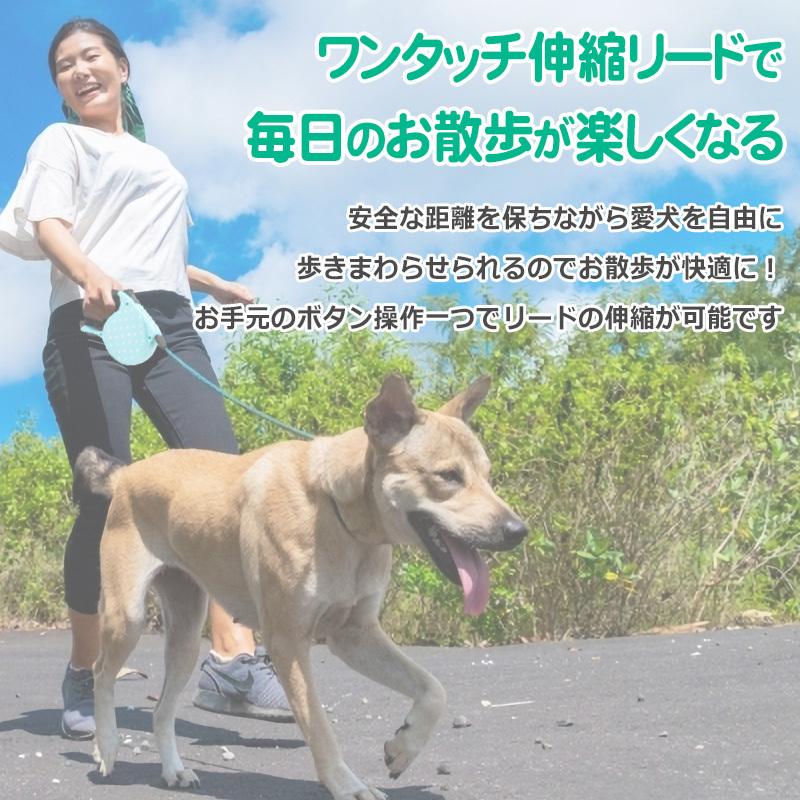 リード 犬 伸縮 伸びる ペットリード おしゃれ ワンタッチ伸縮 簡単操作 散歩 カラフル 柄 丈夫 握りやすい 持ちやすい 人気 公園 セカンドリード 小型犬 Sa2503 ネクストステージストア 通販 Yahoo ショッピング