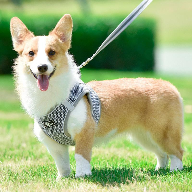 海外最新 犬 ハーネス リード 首輪 おしゃれ 小型犬 中型犬 大型犬 超小型犬 ペット 胴輪 ハーネスベルト ピンク 痛くない 脱げない Zハーネス7o K10 Whitesforracialequity Org