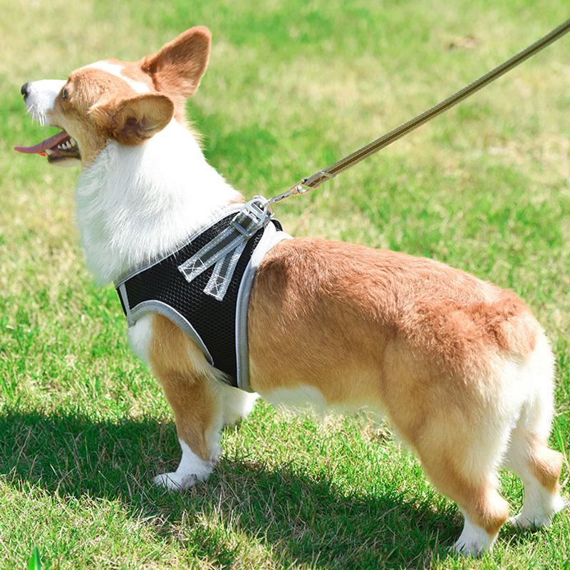 海外最新 犬 ハーネス リード 首輪 おしゃれ 小型犬 中型犬 大型犬 超小型犬 ペット 胴輪 ハーネスベルト ピンク 痛くない 脱げない Zハーネス7o K10 Whitesforracialequity Org
