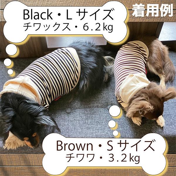epine エピヌ 犬服 わんこ服 ボーダーワンピース M épine pets ♡Eé border onepiece | épine