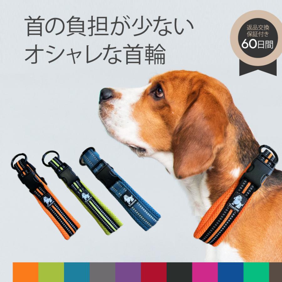 犬 首輪 ハーネス 犬用 おしゃれ 痛くない 軽い ソフトパッド メッシュ 丈夫 イージーウォークカラー チョーカー 蛍光 カラー かっこいい ドッグ y10 の商品画像