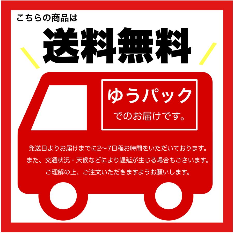 Unger Rinse'n'Go 洗車用純水器用 交換樹脂フィルター2個 Unger Rinse'n'Go 洗車用純水器用 交換樹脂フィルター2個